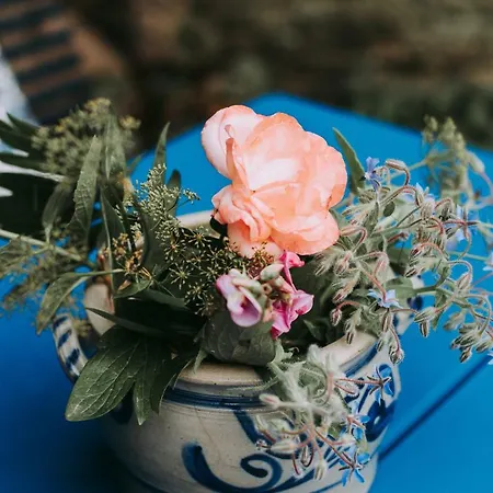 بيت للعطل Backstube